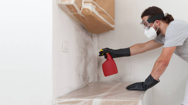 Professional Hvac And Air Duct Mold Remediation technician working in Babylon, NY